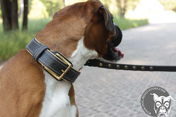 Leather Boxer collar with brass buckle