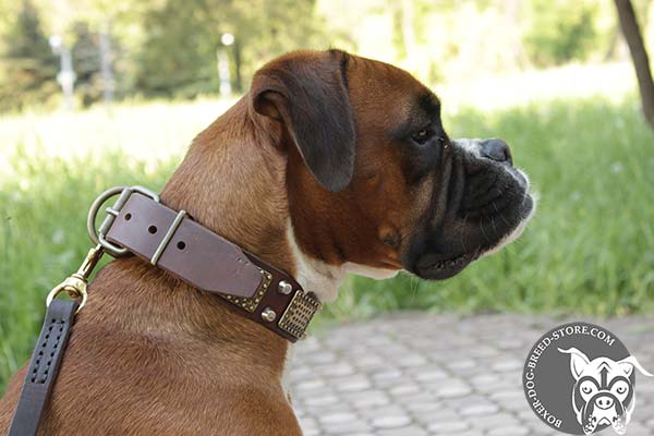 Leather Boxer collar with brass traditional buckle