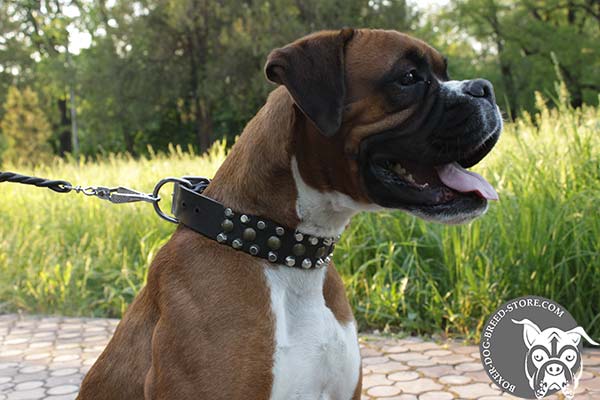 Comfortable leather Boxer collar