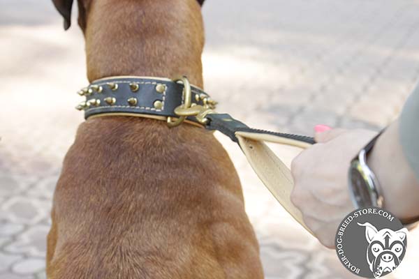 Dependable Boxer collar with brass D-ring