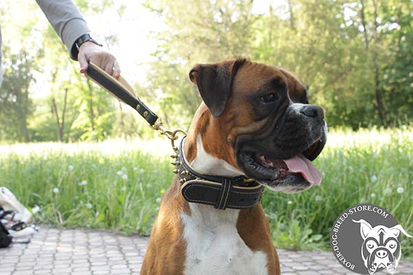 Boxer collar of dog-friendly leather