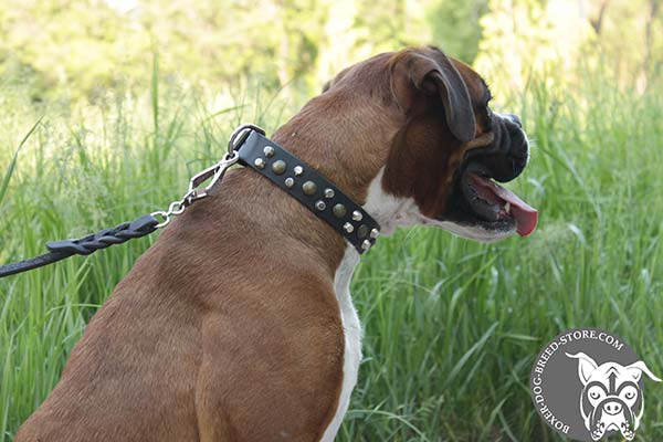 Safe Boxer collar of eco-friendly materials