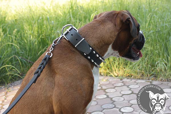 Leather Boxer collar with nickel plated buckle
