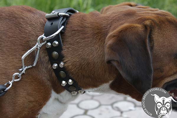 Comfortable Boxer collar with nickel plated hardware