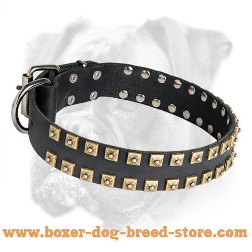 Comfortable Leather Collar With Brass Studs for Boxer