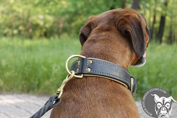 Nappa padded Boxer collar with strong D-ring 