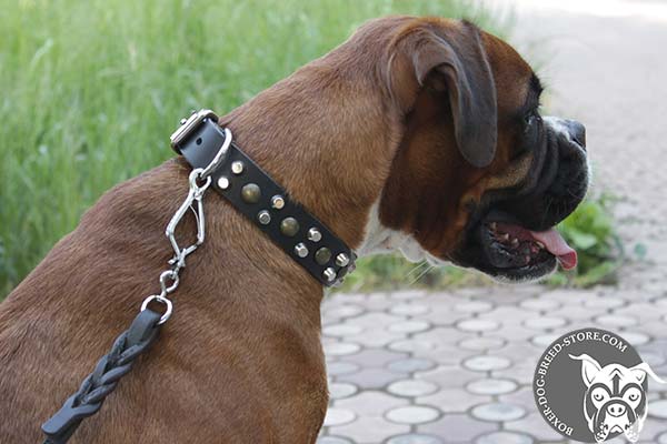Luxury Boxer collar with studs and pyramids