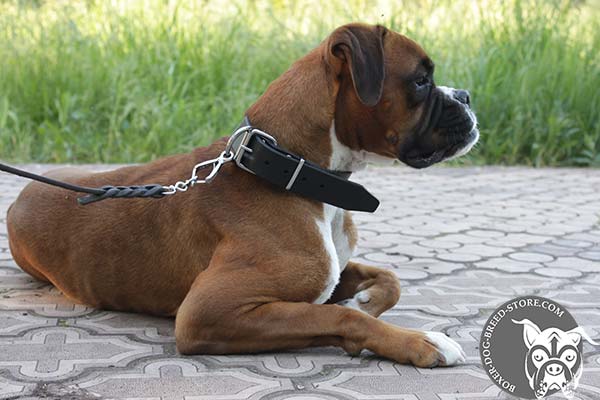 Leather Boxer collar with traditional buckle