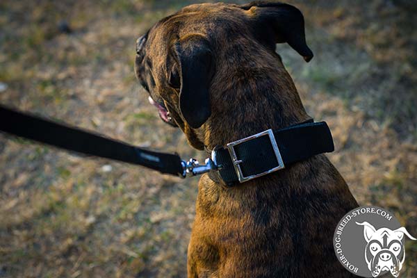 Nylon Boxer collar with nickel plated buckle