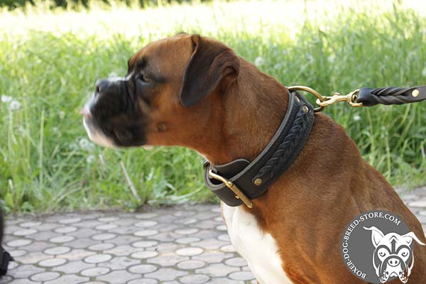 Two ply Boxer collar