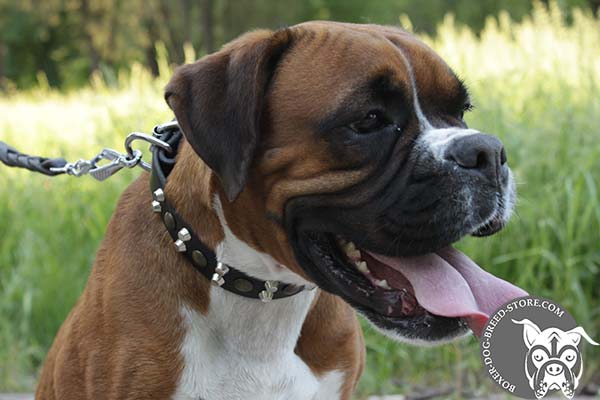 Practical Boxer collar for walking and training