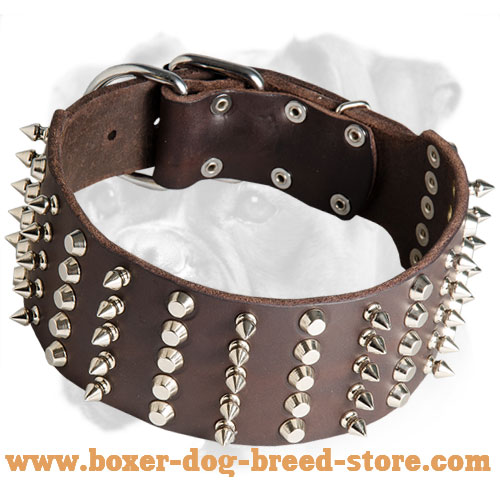 Extra Wide Leather Spiked and Studded Collar for Boxer