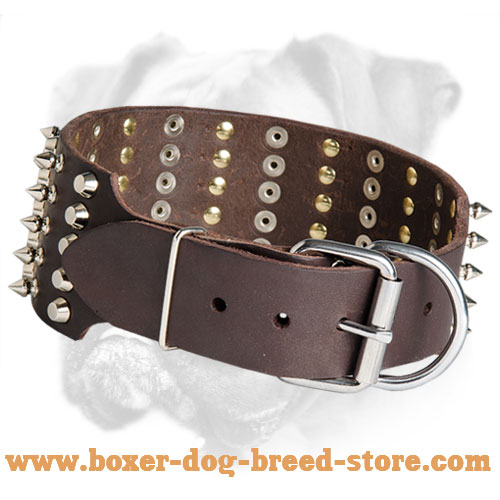 Spikes and Studs Decorate Leather Boxer Collar