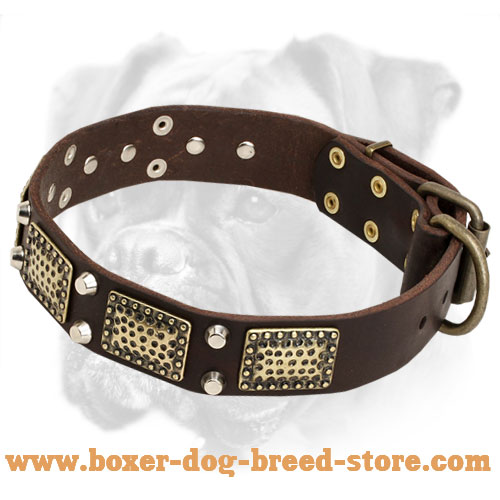 Elegant Leather Collar Decorated With Plates