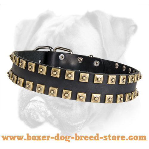 Boxer Designer Studded Leather Collar