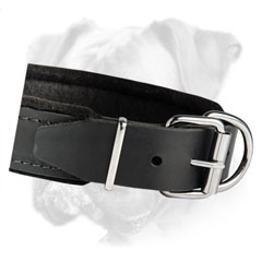 Durable and comfortable leather padded dog collar for obedience training