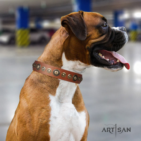 Boxer easy wearing full grain leather collar with corrosion proof buckle