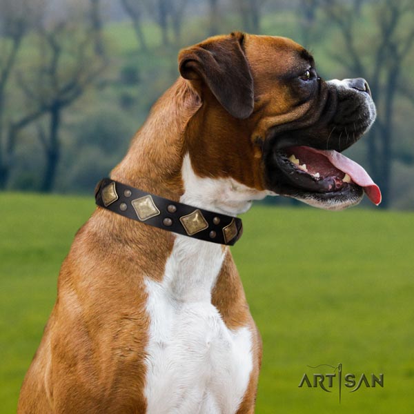 Boxer inimitable full grain leather collar with corrosion proof d-ring