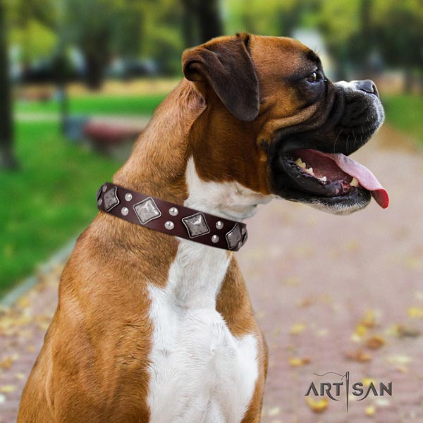 Boxer unusual full grain leather collar with rust resistant fittings