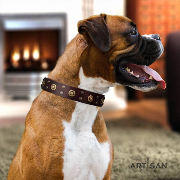 Boxer fine quality natural leather collar with rust-proof hardware