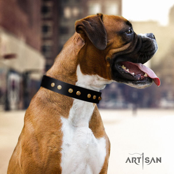 Boxer exquisite full grain genuine leather collar with rust resistant traditional buckle