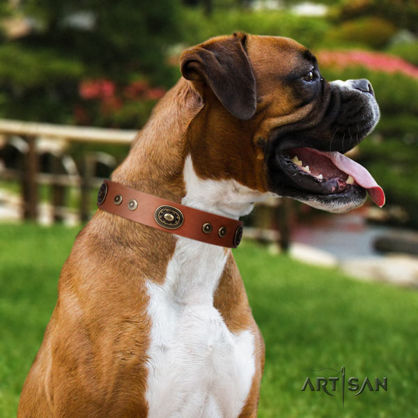 Boxer easy adjustable leather collar with rust-proof buckle