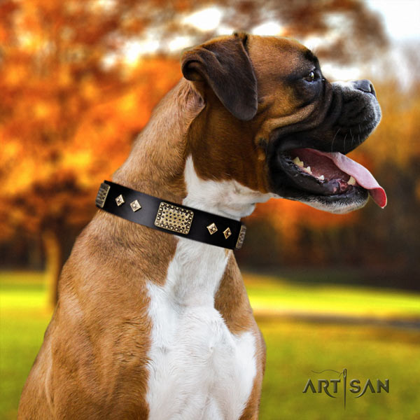 Boxer awesome full grain genuine leather collar with corrosion proof hardware