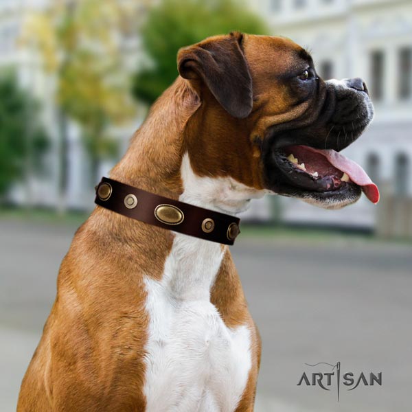 Boxer exceptional full grain genuine leather collar with corrosion resistant hardware