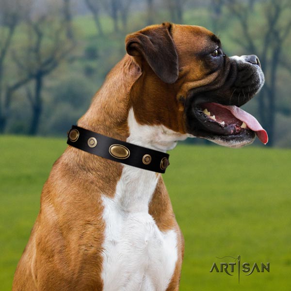 Boxer exceptional genuine leather collar with corrosion proof hardware