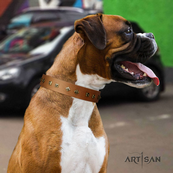 Boxer perfect fit full grain natural leather collar with corrosion proof d-ring