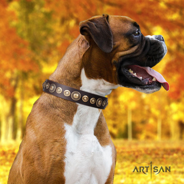Boxer handcrafted leather collar with corrosion proof hardware