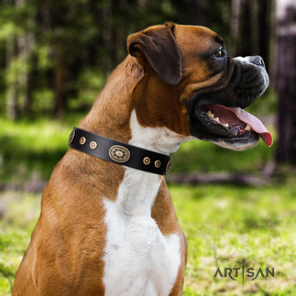 Boxer awesome full grain genuine leather collar with rust resistant traditional buckle