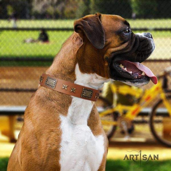 Boxer perfect fit genuine leather collar with corrosion resistant d-ring