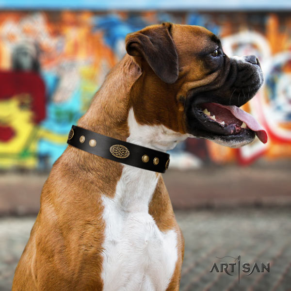 Boxer incredible leather collar with rust resistant buckle