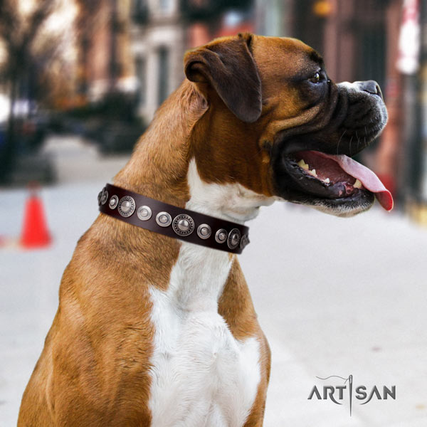Boxer handcrafted genuine leather collar with corrosion proof fittings
