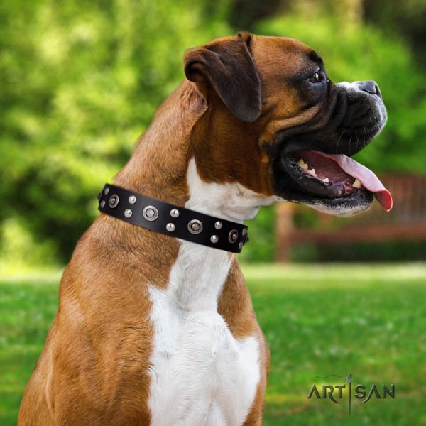 Boxer stylish design full grain leather collar with rust resistant d-ring