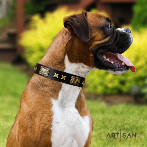 Boxer stylish design genuine leather collar with rust resistant hardware