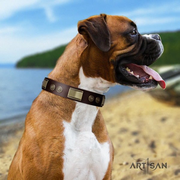 Boxer adorned natural leather collar with rust resistant hardware