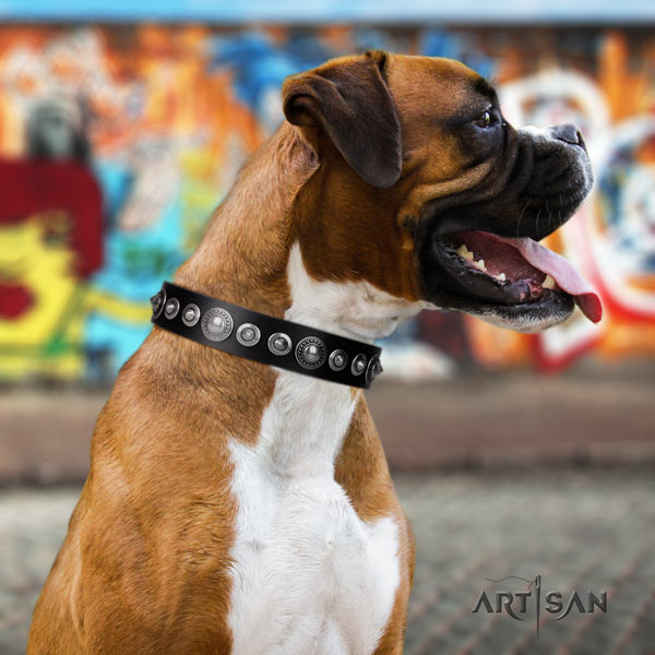 Boxer perfect fit leather collar with corrosion resistant d-ring