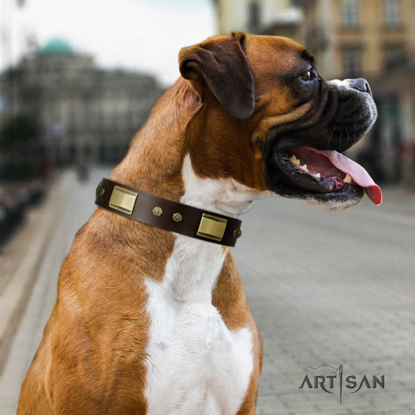 Boxer awesome full grain genuine leather collar with corrosion proof fittings