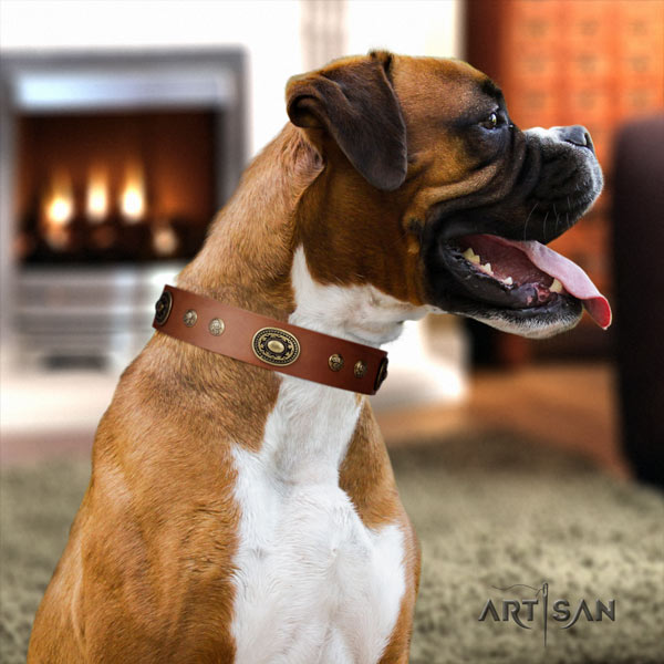 Boxer stylish natural leather collar with rust-proof traditional buckle