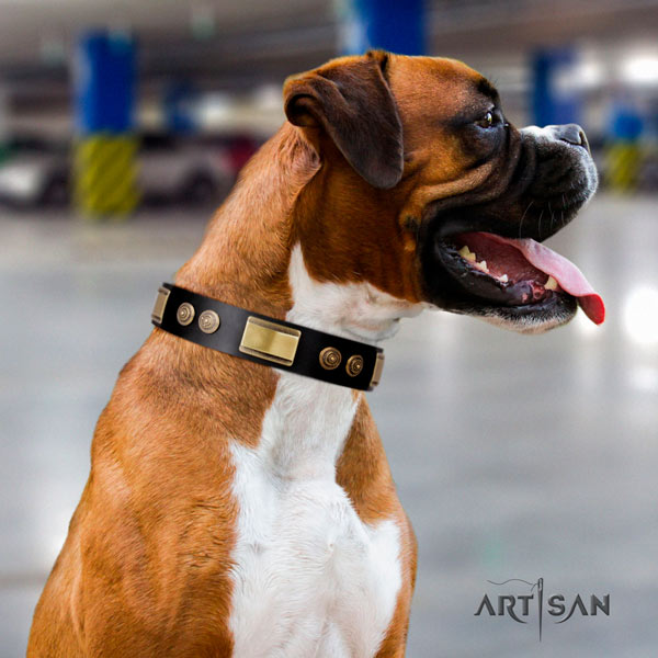 Boxer unusual full grain genuine leather collar with corrosion proof fittings