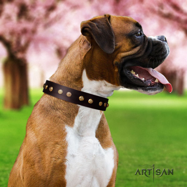 Boxer inimitable full grain natural leather collar with corrosion proof fittings