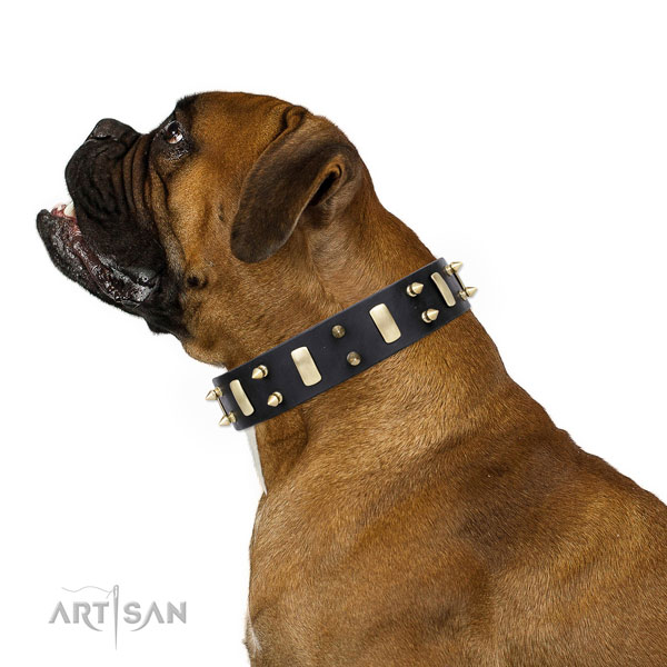 Boxer designer full grain genuine leather dog collar for daily walking