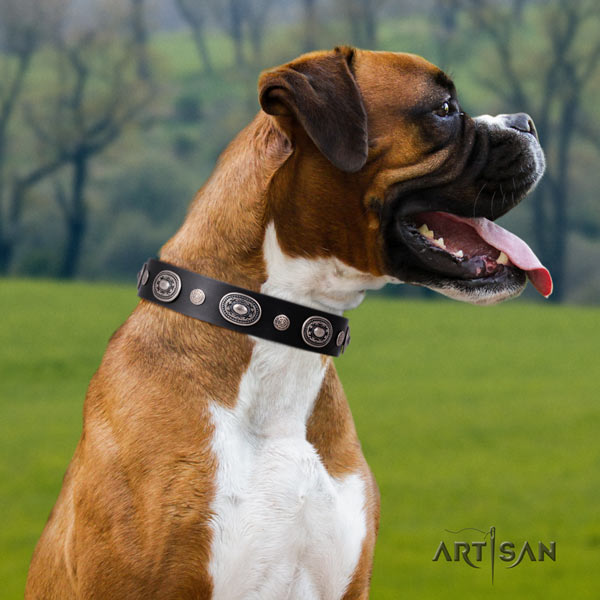 Boxer significant full grain natural leather collar with corrosion proof traditional buckle