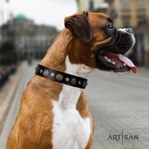 Boxer stunning full grain leather collar with rust resistant fittings