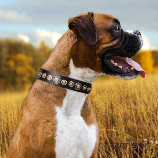Boxer best quality full grain genuine leather collar with rust resistant d-ring