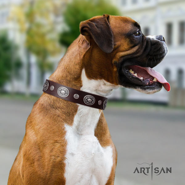 Boxer amazing full grain leather collar with corrosion proof traditional buckle