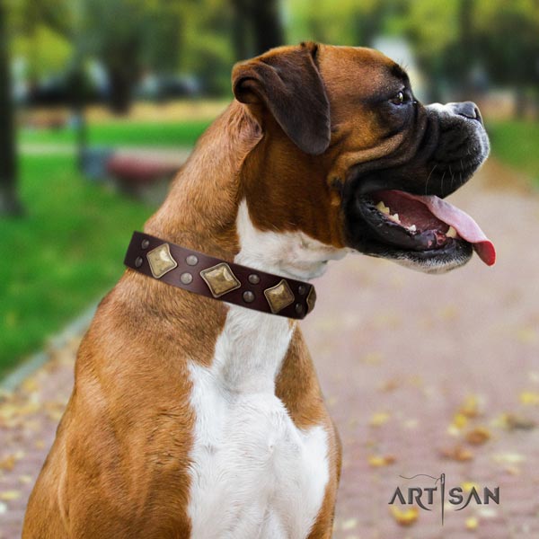 Boxer unusual natural leather collar with corrosion proof hardware