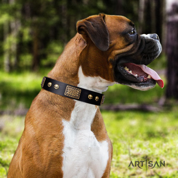 Boxer trendy full grain natural leather collar with corrosion proof hardware